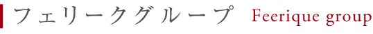 フェリークグループ